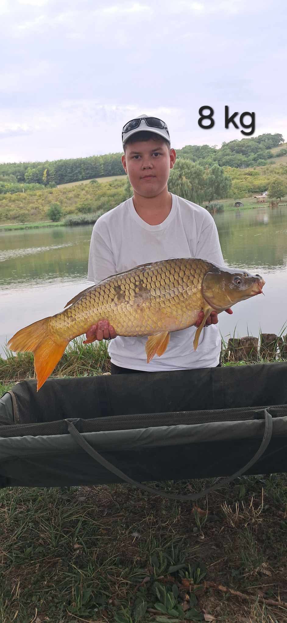 Sárga Arany 8mm wafters IFIMIX