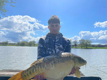 Sárga Arany 8mm wafters