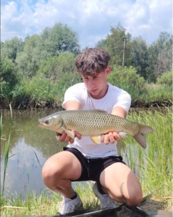 Áfonya-Szúnyoglárva Pelletmix