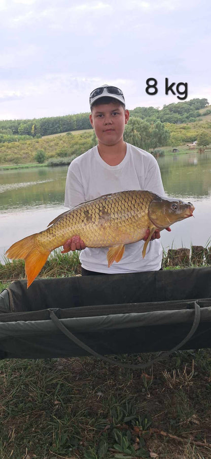 Sárga Arany 8mm wafters