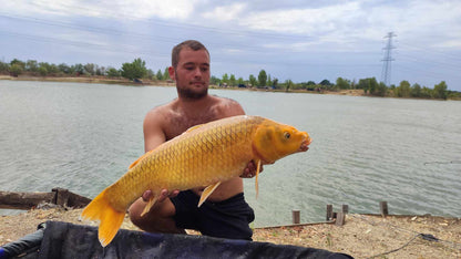 IFIMIX SpeedUp Áfonya-Szúnyoglárva Aroma spray