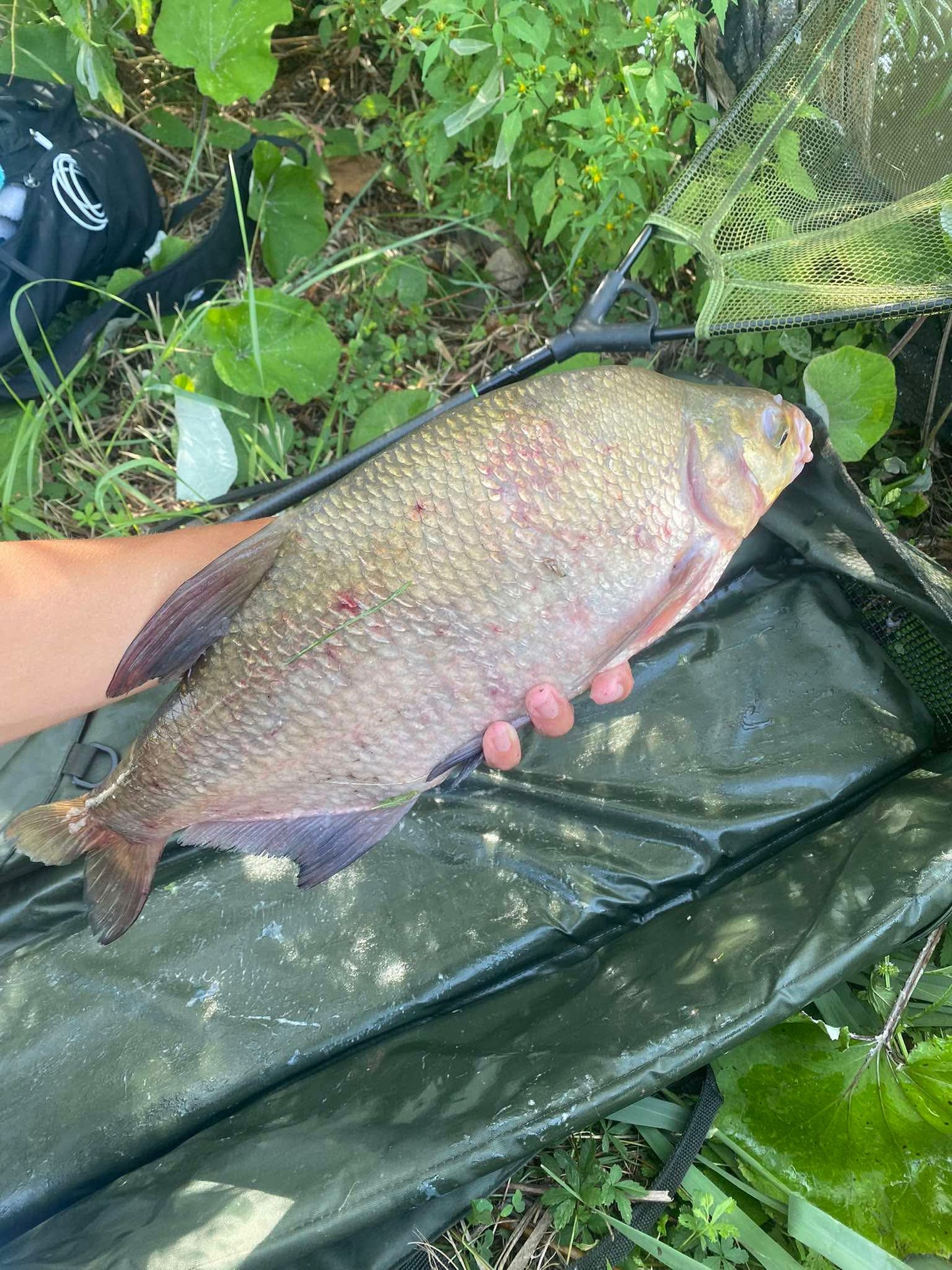 IFIMIX SpeedUp Áfonya-Szúnyoglárva Aroma spray